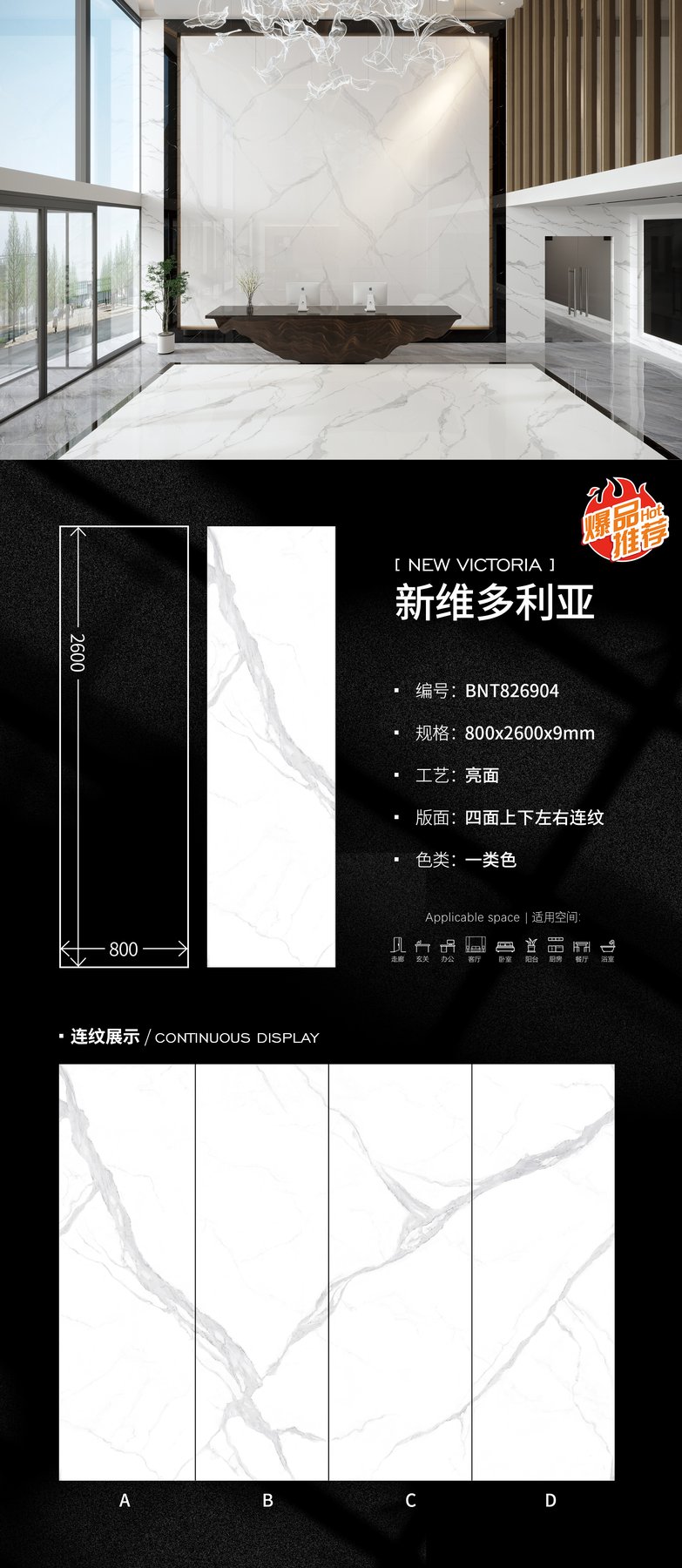 800×2600 mm · 9 mm · Glossy sintered stone