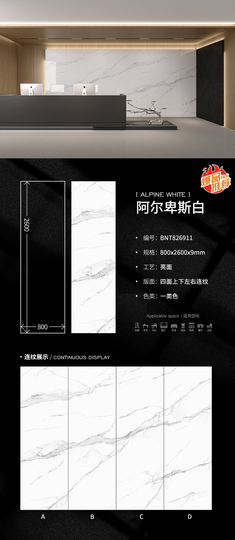 800×2600 mm · 9 mm · Glossy sintered stone