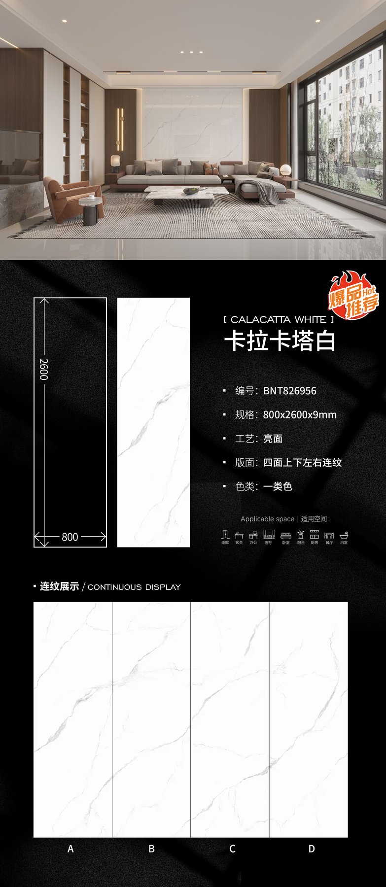 800×2600 mm · 9 mm · Glossy sintered stone